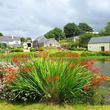 Polhilsa Farm Bed & Breakfast Callington ภายนอก รูปภาพ