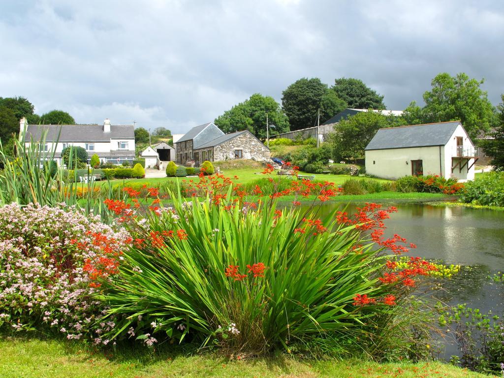 Polhilsa Farm Bed & Breakfast Callington ภายนอก รูปภาพ