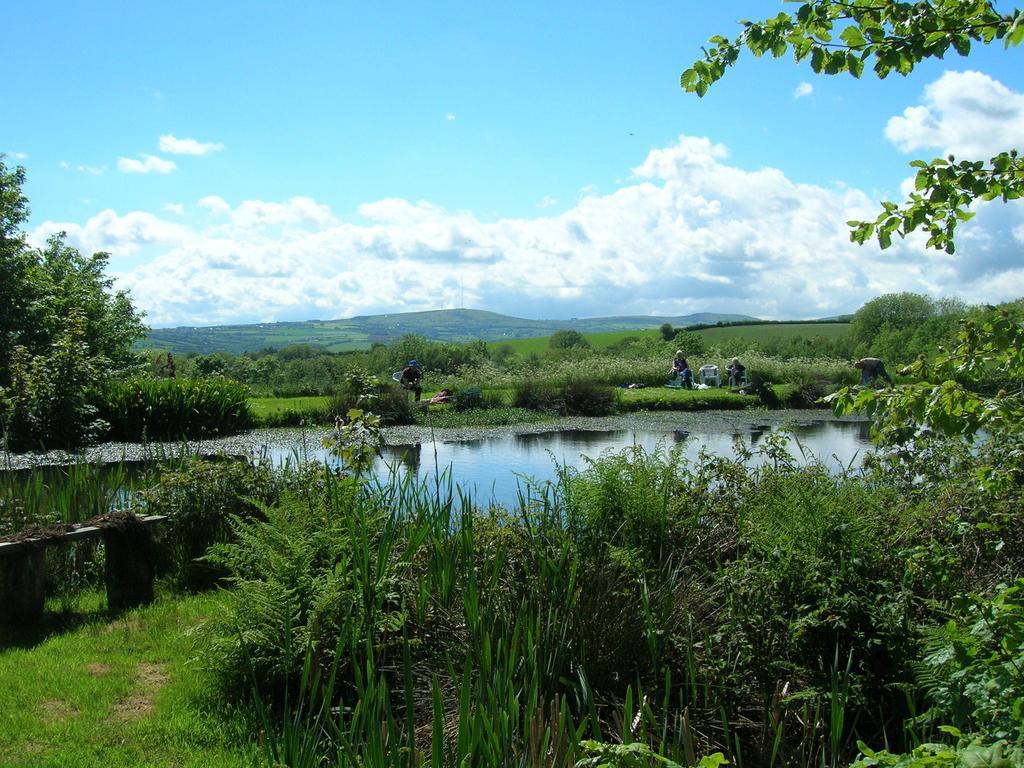 Polhilsa Farm Bed & Breakfast Callington ภายนอก รูปภาพ